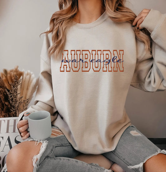 College Embroidered Unisex Sweatshirt Amazing Faith Designs