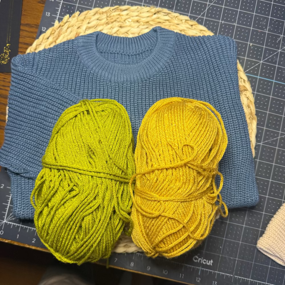 Dinosaur Hand Embroidered Sweater - Amazing Faith Designs