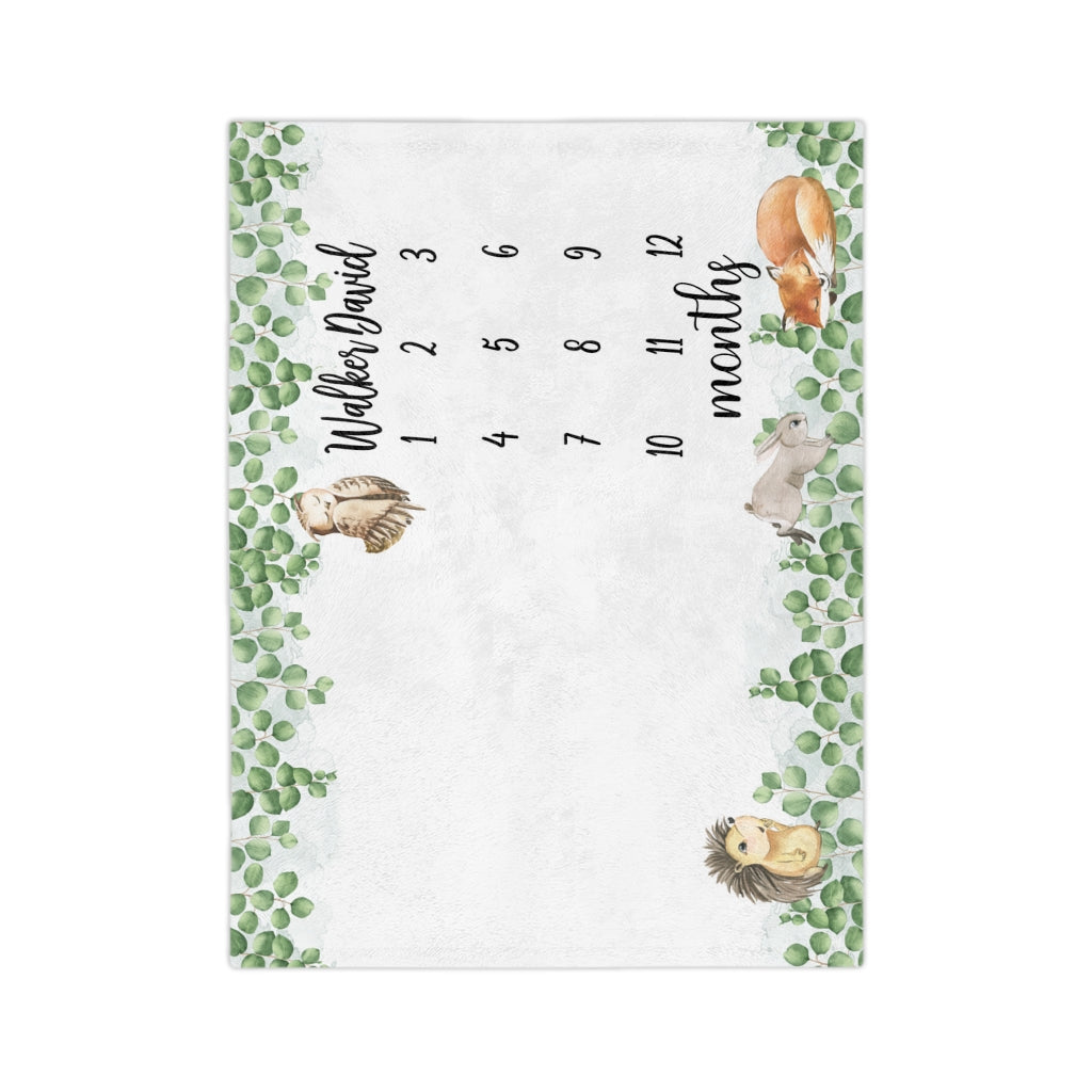 Woodland Animals Personalized Baby Milestone Minky Blanket - Amazing Faith Designs