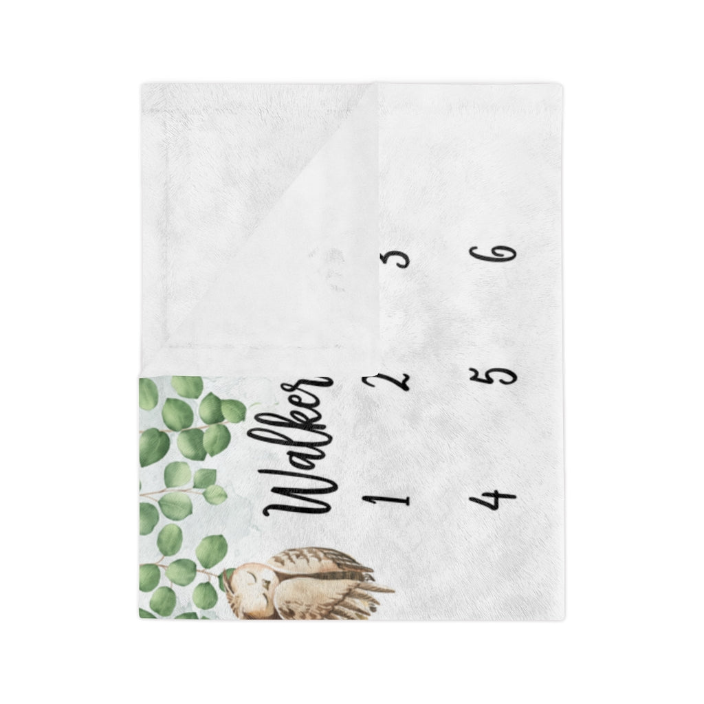 Woodland Animals Personalized Baby Milestone Minky Blanket - Amazing Faith Designs