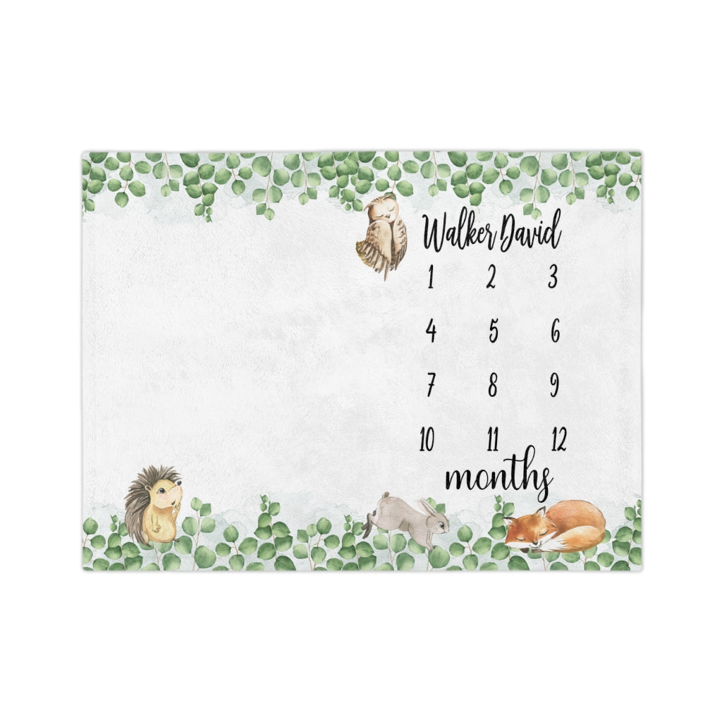 Woodland Animals Personalized Baby Milestone Minky Blanket - Amazing Faith Designs