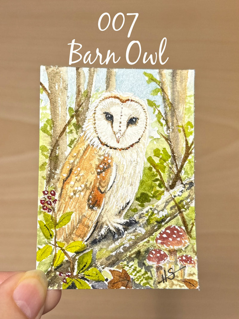 Tiny Painting Tuesday Original Watercolor ACEO