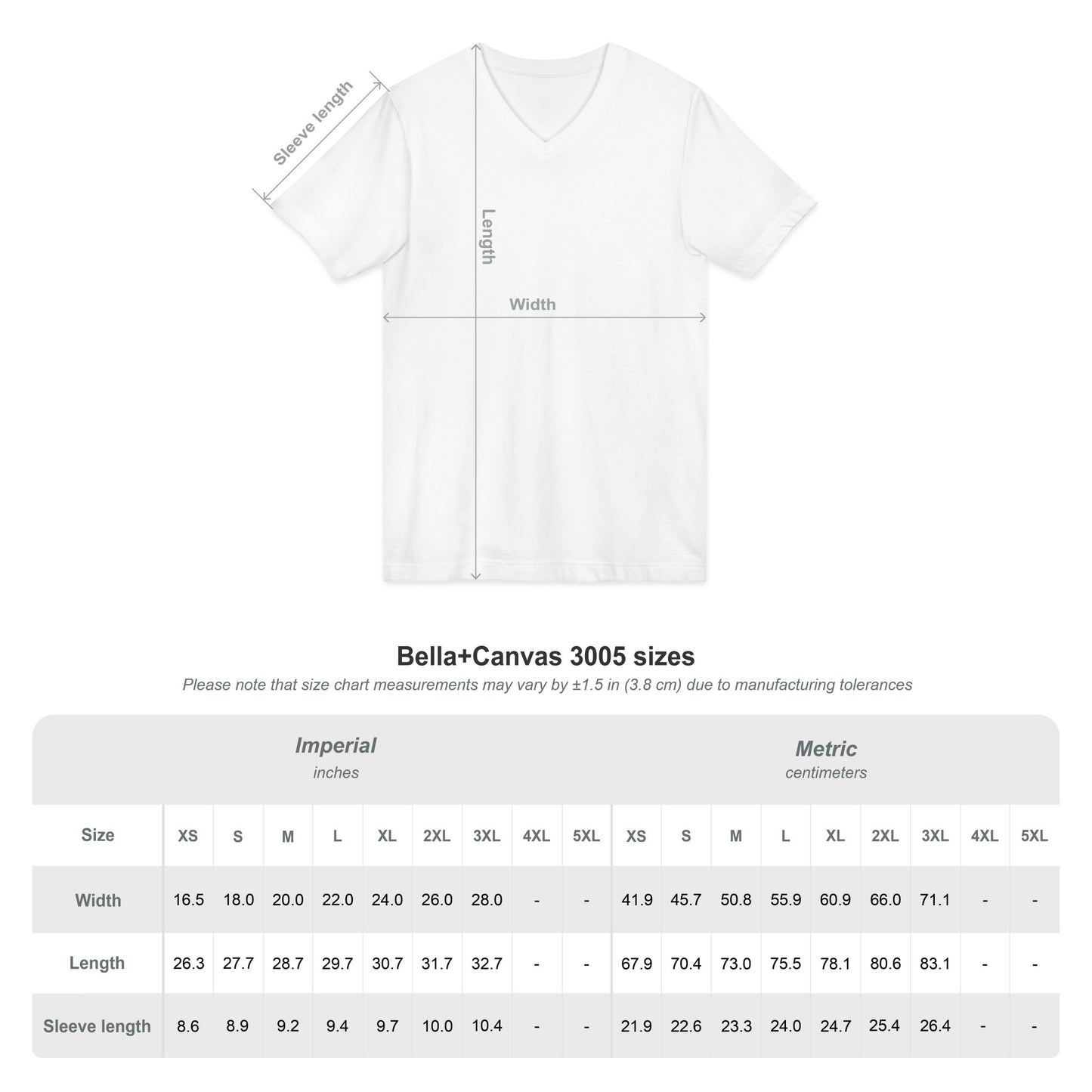 Latin Class V-neck T-shirt - Amazing Faith Designs