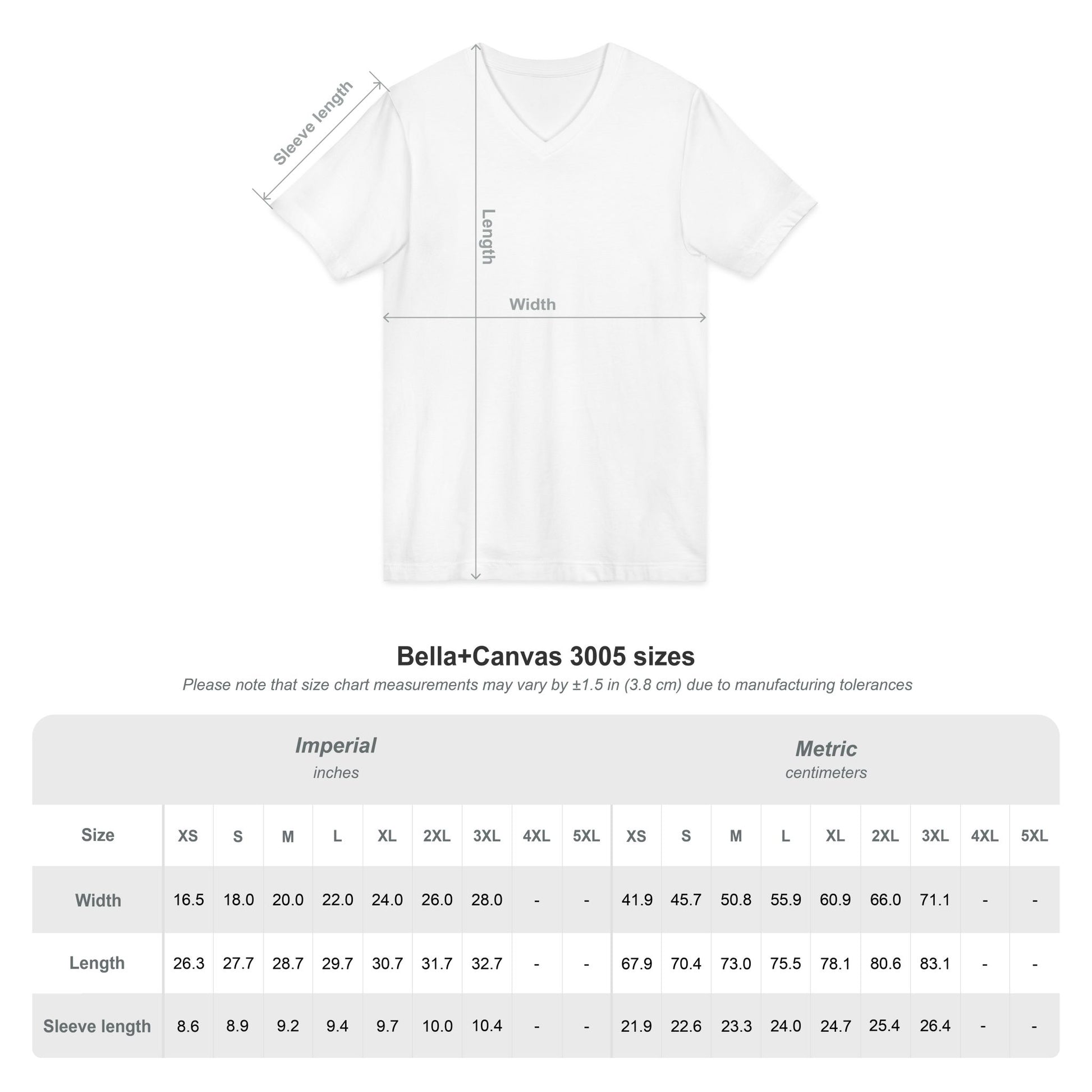 Latin Class V-neck T-shirt - Amazing Faith Designs