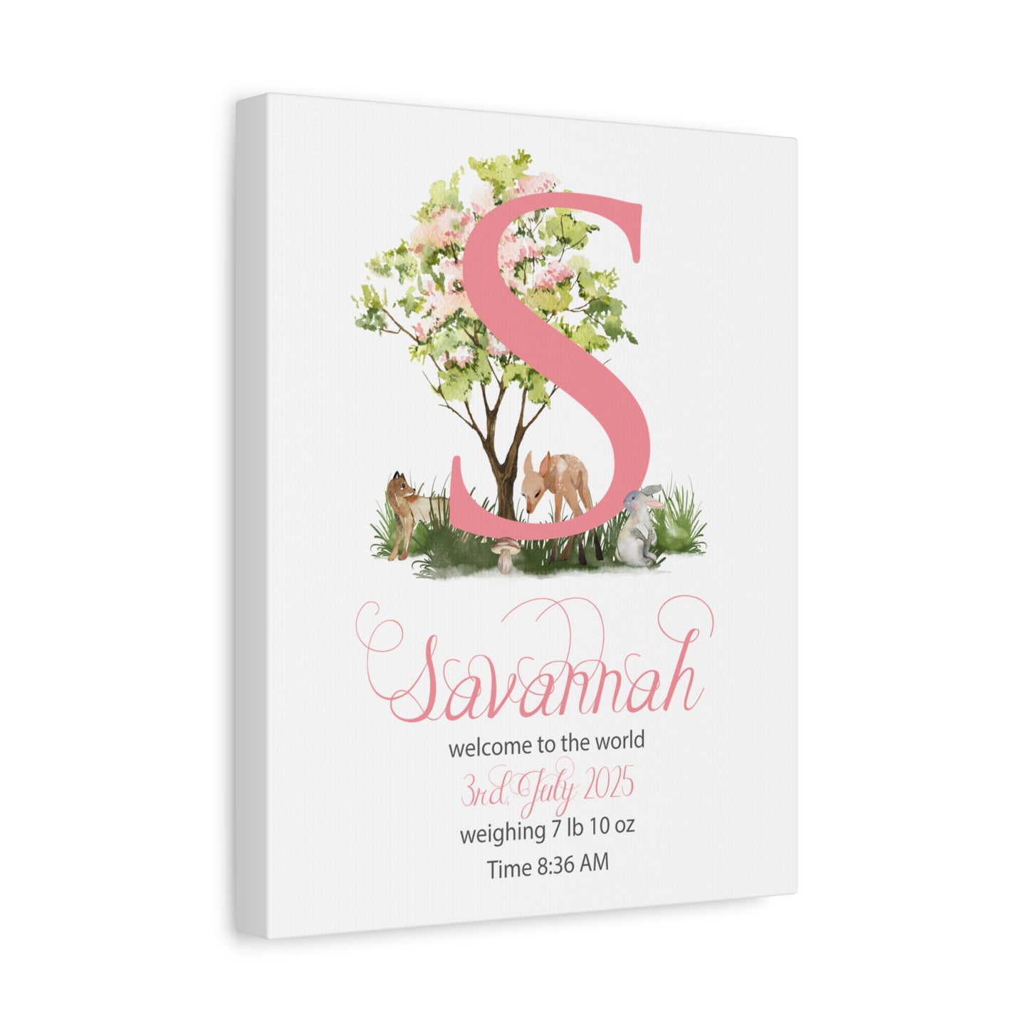 Custom Baby Girl Birth Stats Nursery Wall Art - Amazing Faith Designs