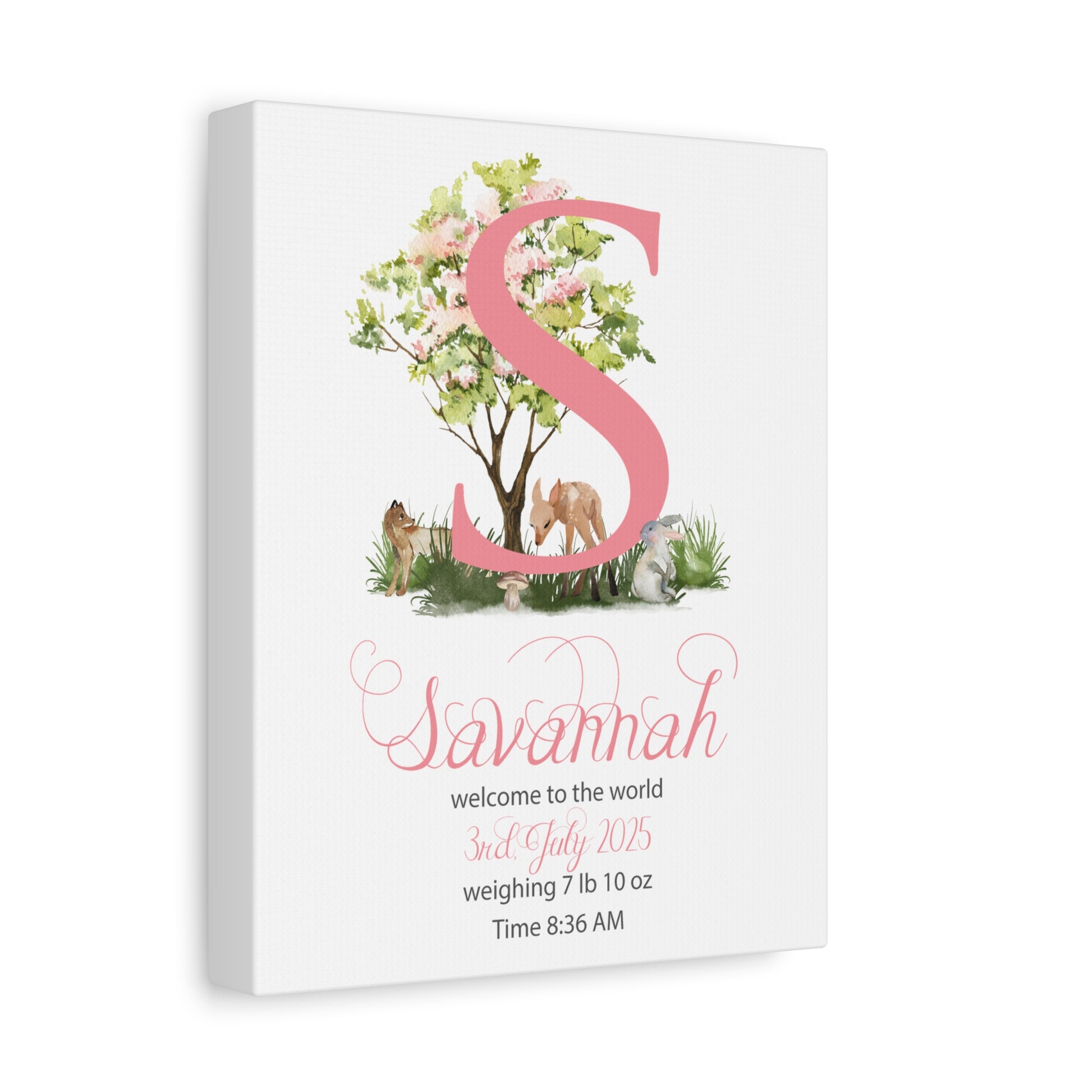 Custom Baby Girl Birth Stats Nursery Wall Art - Amazing Faith Designs