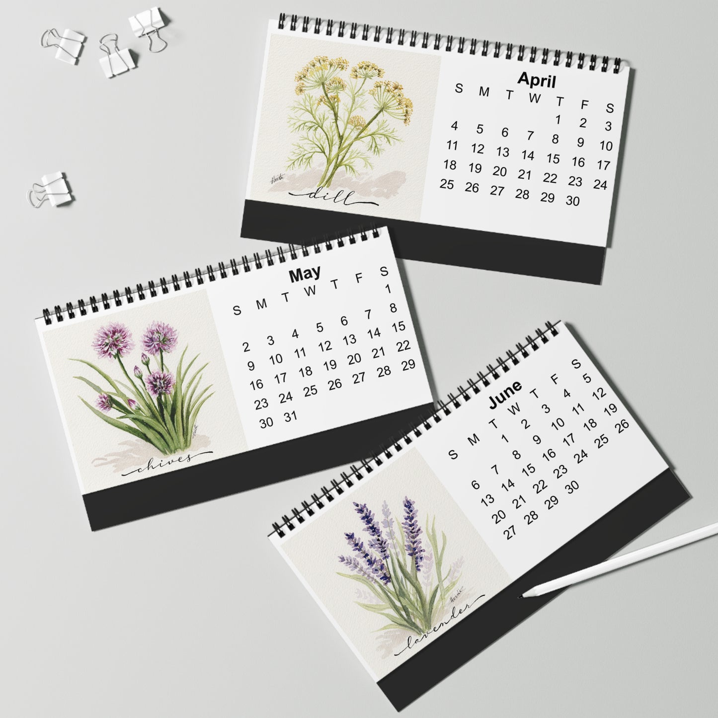 Herb Garden 2027 Desktop Calendar | Original Watercolor Botanical Art