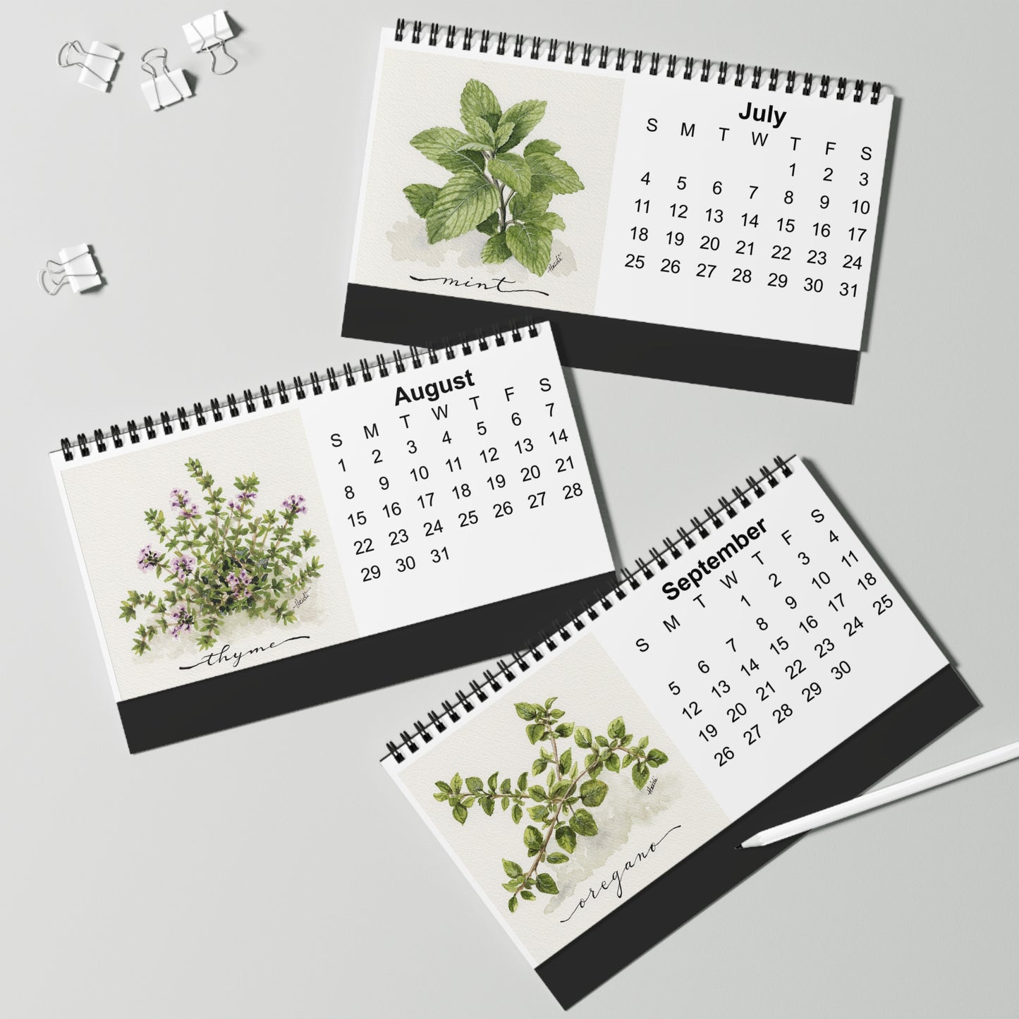 Herb Garden 2027 Desktop Calendar | Original Watercolor Botanical Art