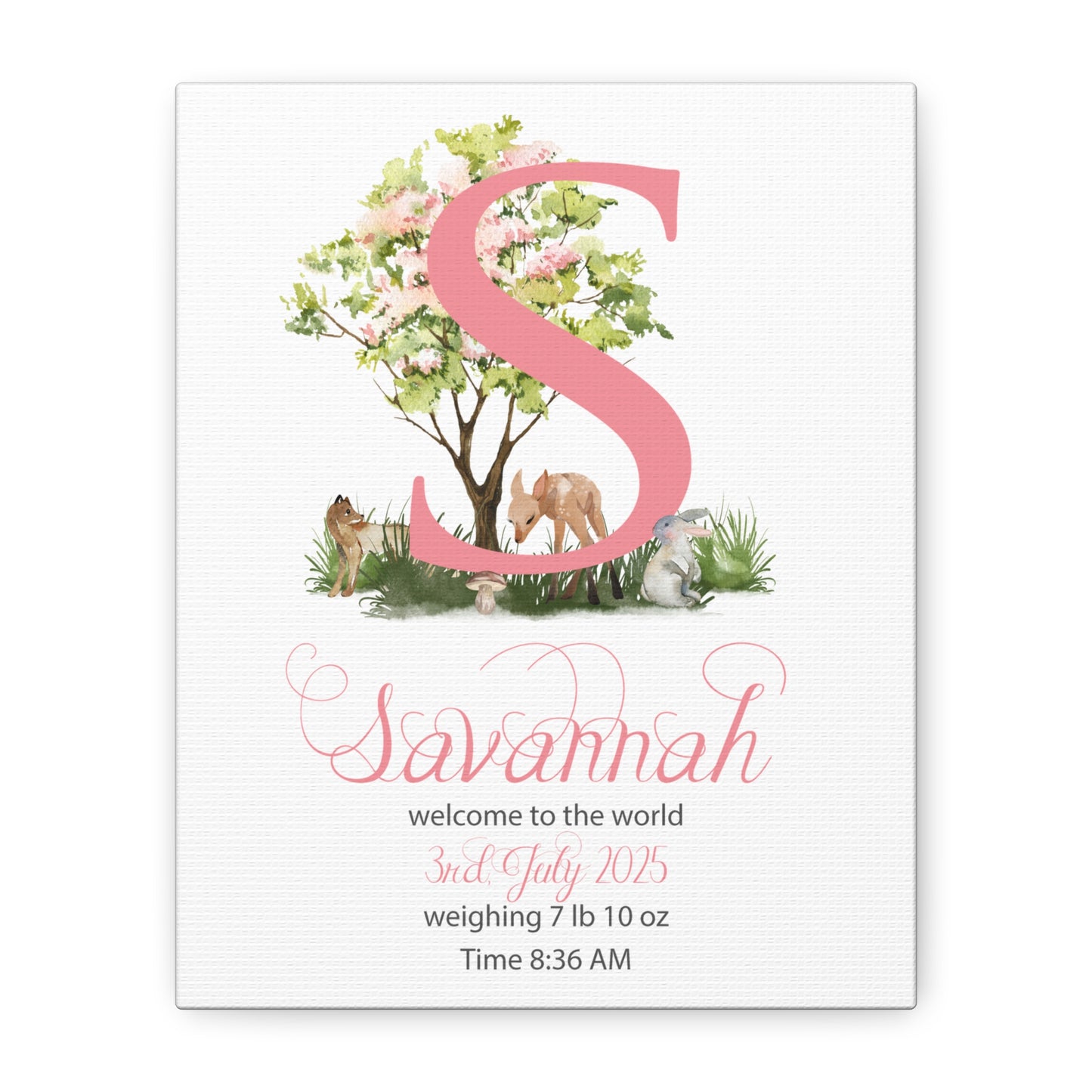 Custom Baby Girl Birth Stats Nursery Wall Art - Amazing Faith Designs