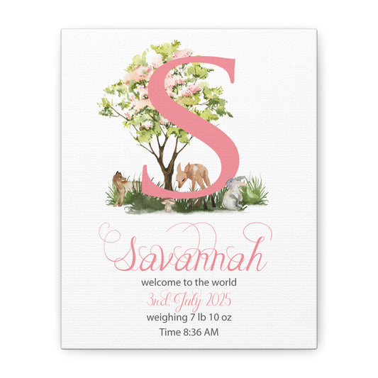 Custom Baby Girl Birth Stats Nursery Wall Art - Amazing Faith Designs