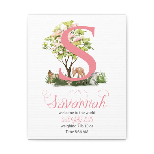 Custom Baby Girl Birth Stats Nursery Wall Art - Amazing Faith Designs
