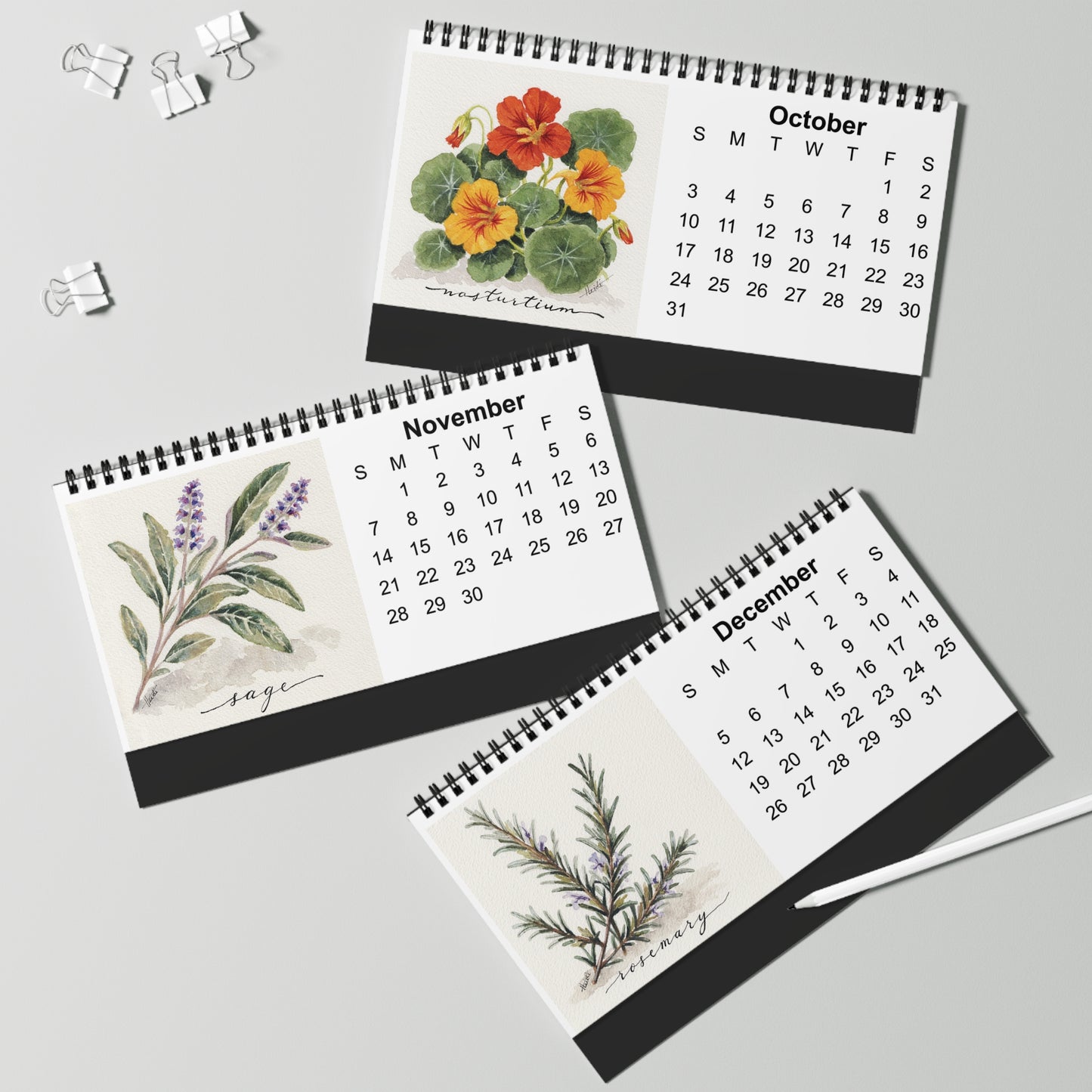 Herb Garden 2027 Desktop Calendar | Original Watercolor Botanical Art