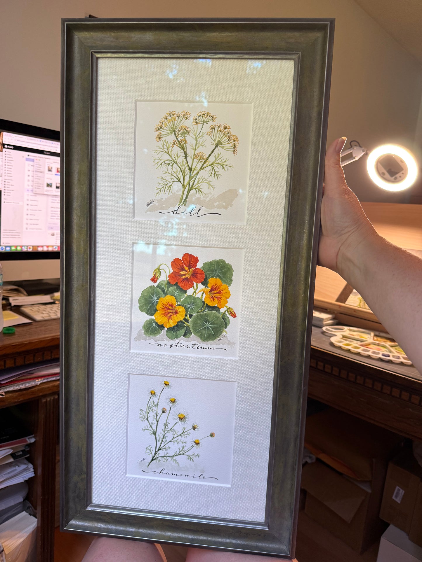 Herbs in Bloom— Original Watercolor Triptych
