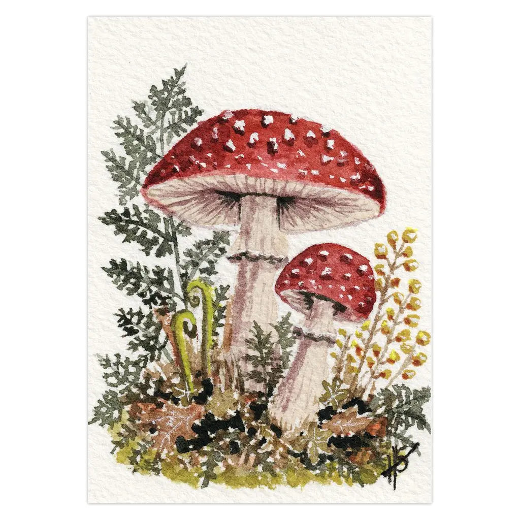 Amanita Mushroom Woodland Greeting Cards Amazing Faith Designs
