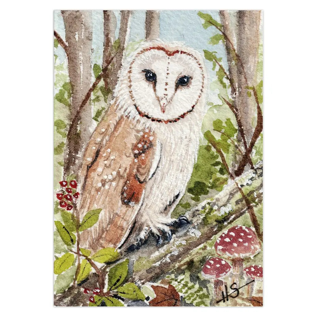 Barn Owl Woodland Greeting Cards Amazing Faith Designs