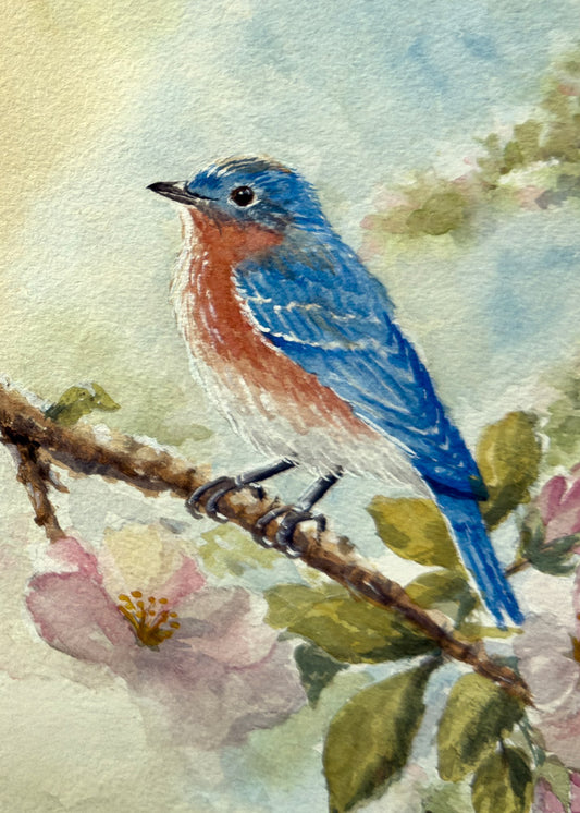 Spring Bluebird Original Watercolor Print