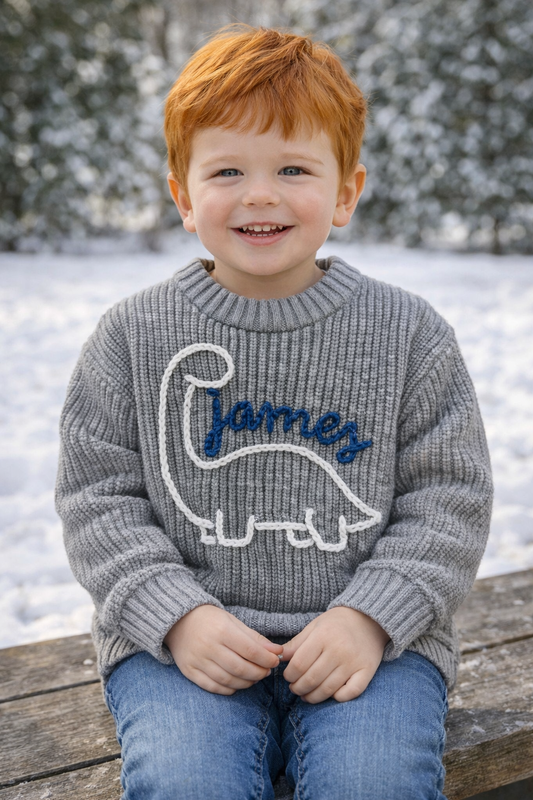 Dinosaur Hand Embroidered Sweater - Amazing Faith Designs