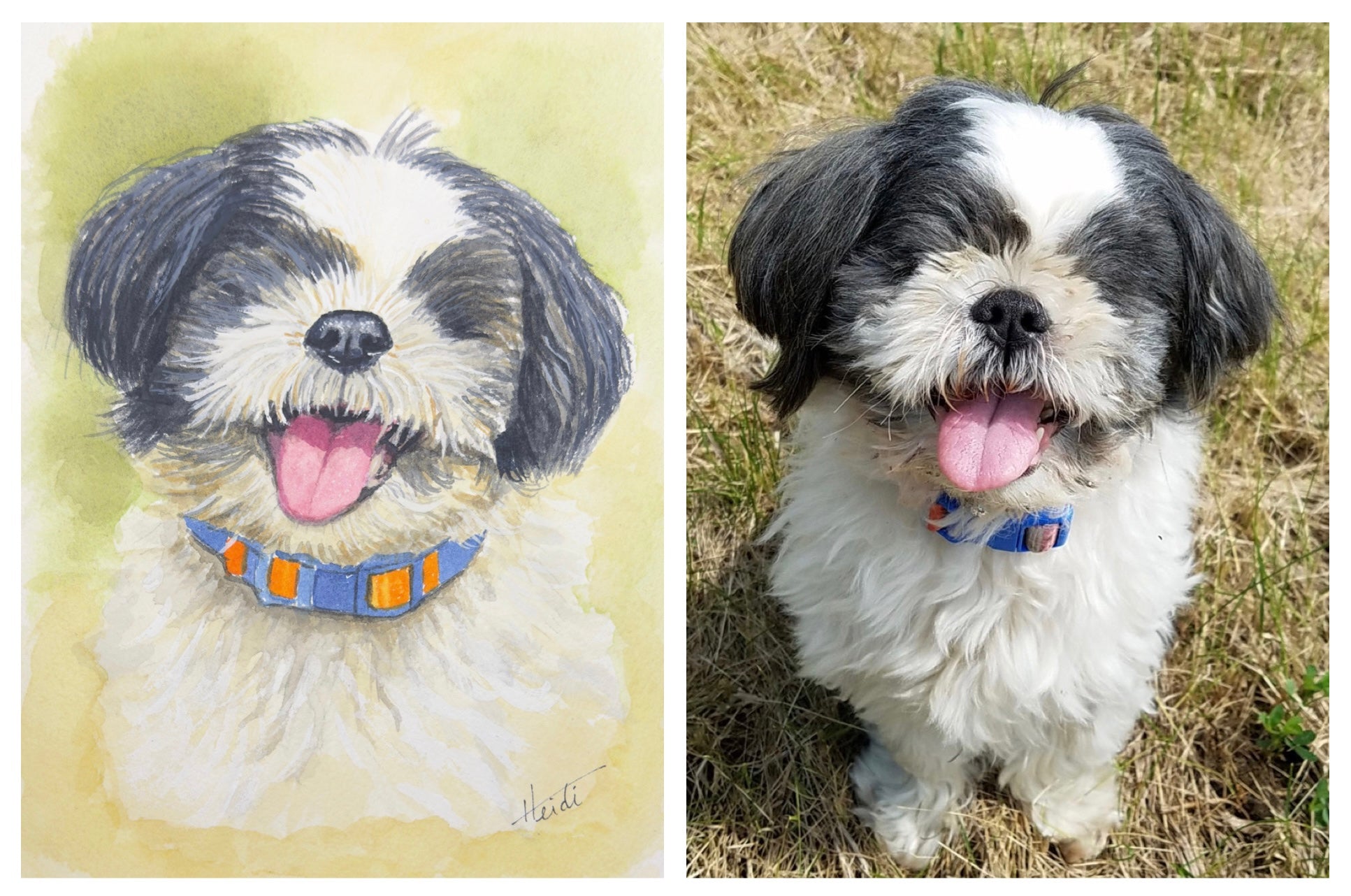 Custom Watercolor Pet Portrait from Your Photo | Hand Painted Original - Amazing Faith Designs