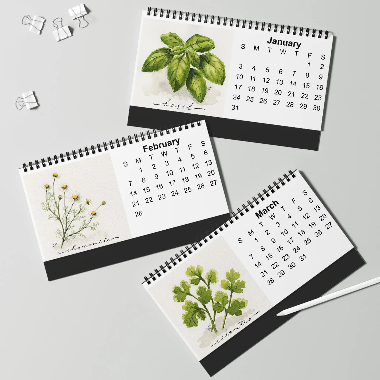 Herb Garden 2027 Desktop Calendar | Original Watercolor Botanical Art Printify