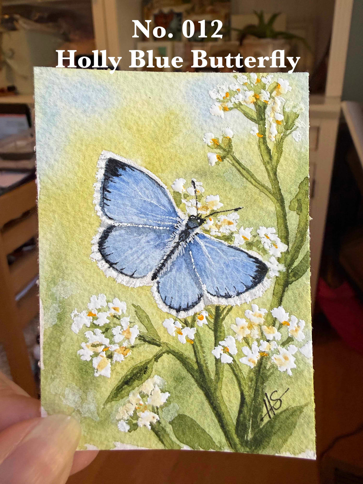 Tiny Painting Tuesday Original Watercolor ACEO