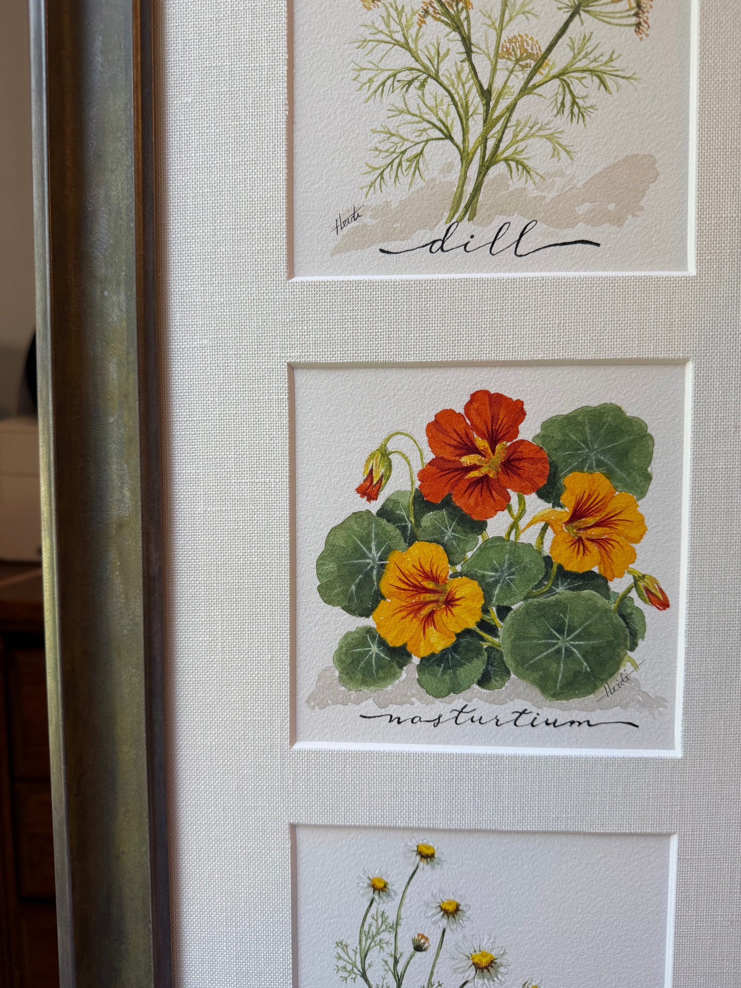 Herbs in Bloom— Original Watercolor Triptych
