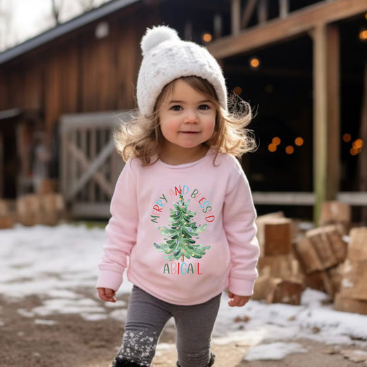 Merry and Blessed Toddler Sweatshirt - Amazing Faith Designs