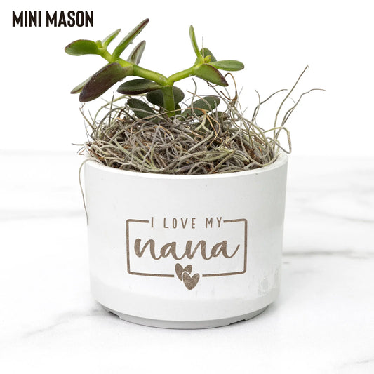 Mother's Day Desk Plant | Personalized Pot teelaunch