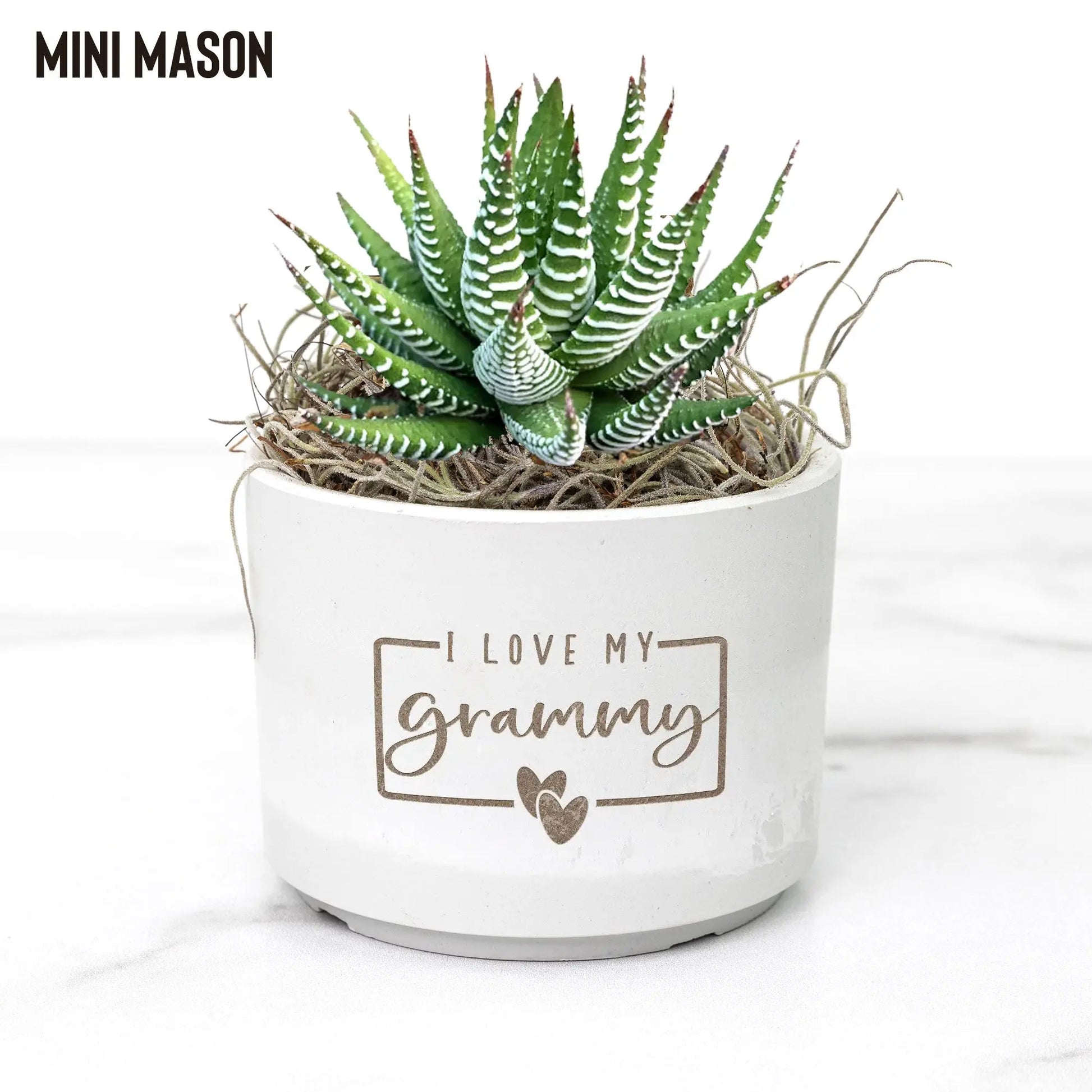 Mother's Day Desk Plant | Personalized for Nana, Mama teelaunch