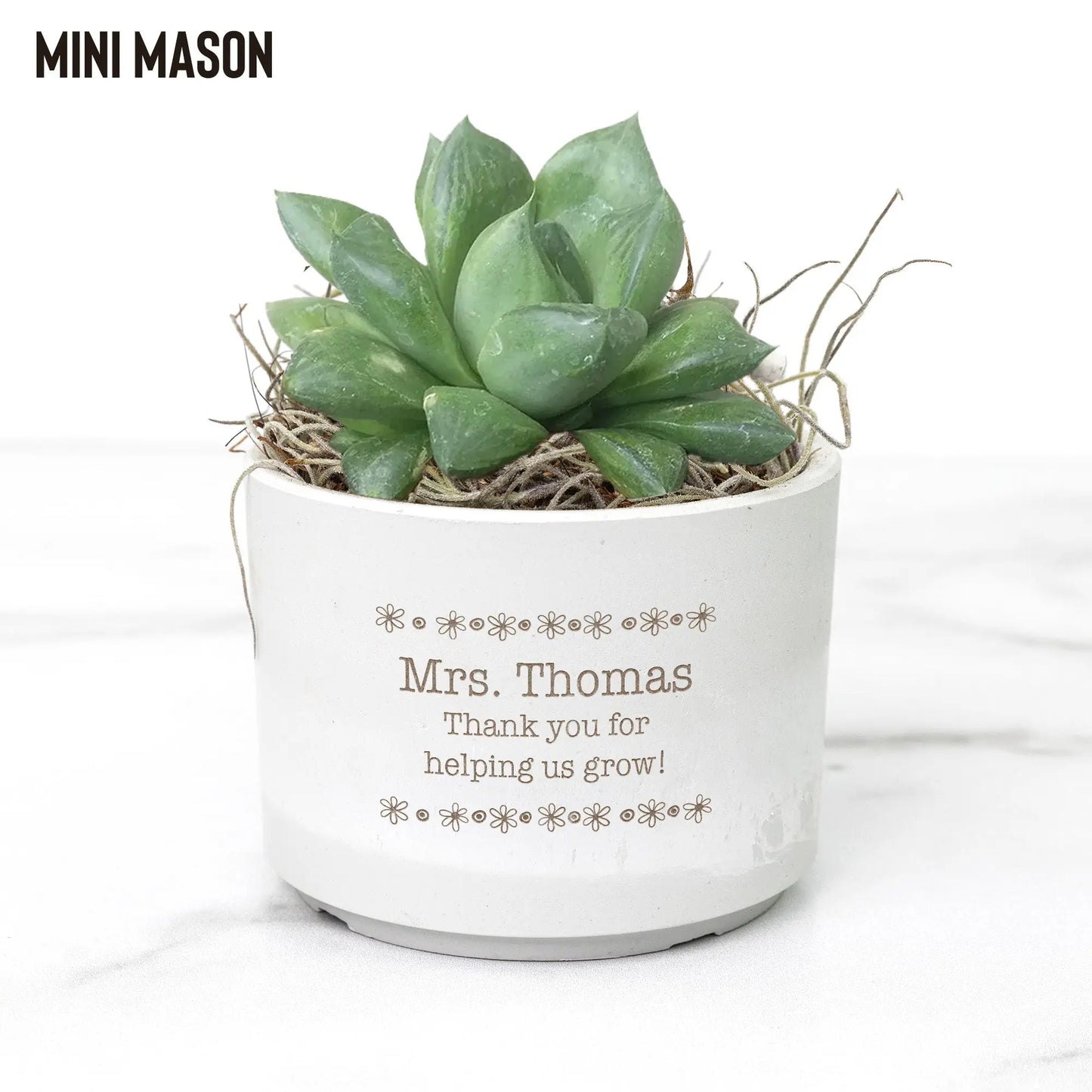 Plant Seeds of Kindness Mini Desk Plant - Choose from 3 teelaunch