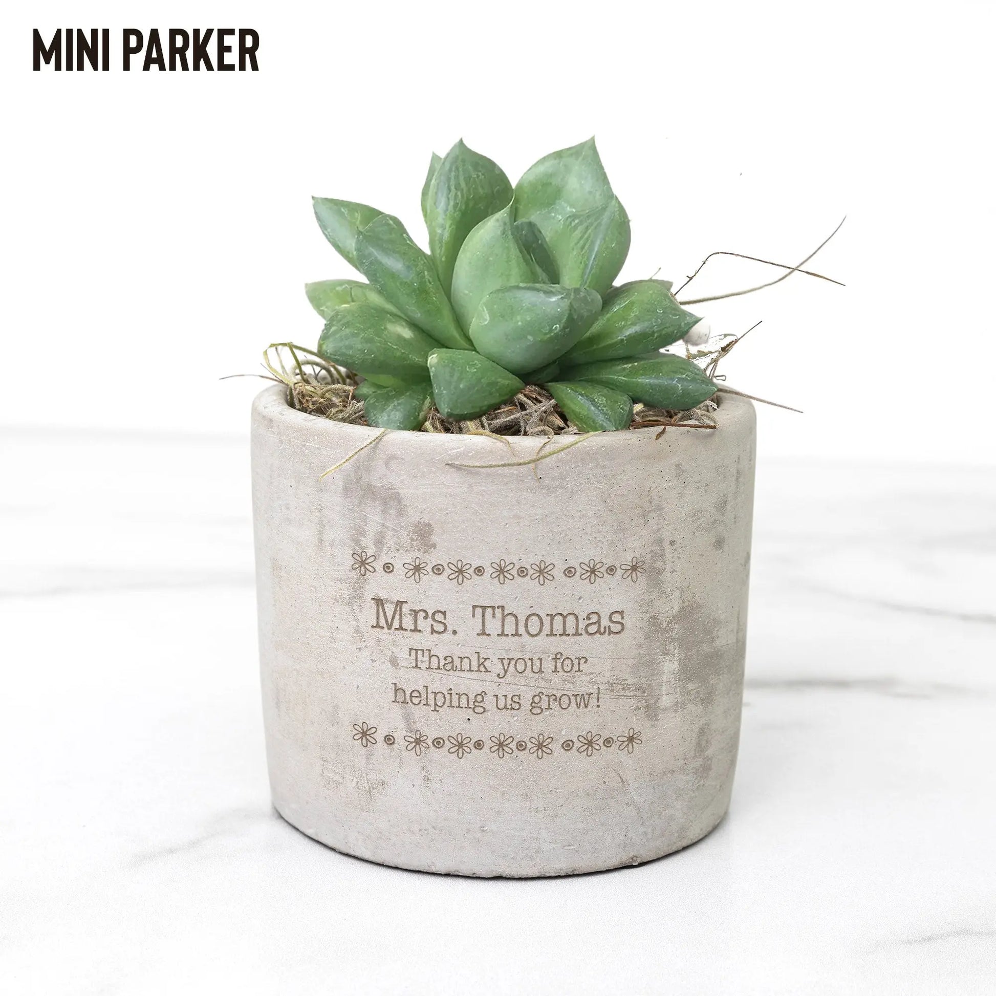 Plant Seeds of Kindness Mini Desk Plant - Choose from 3 teelaunch