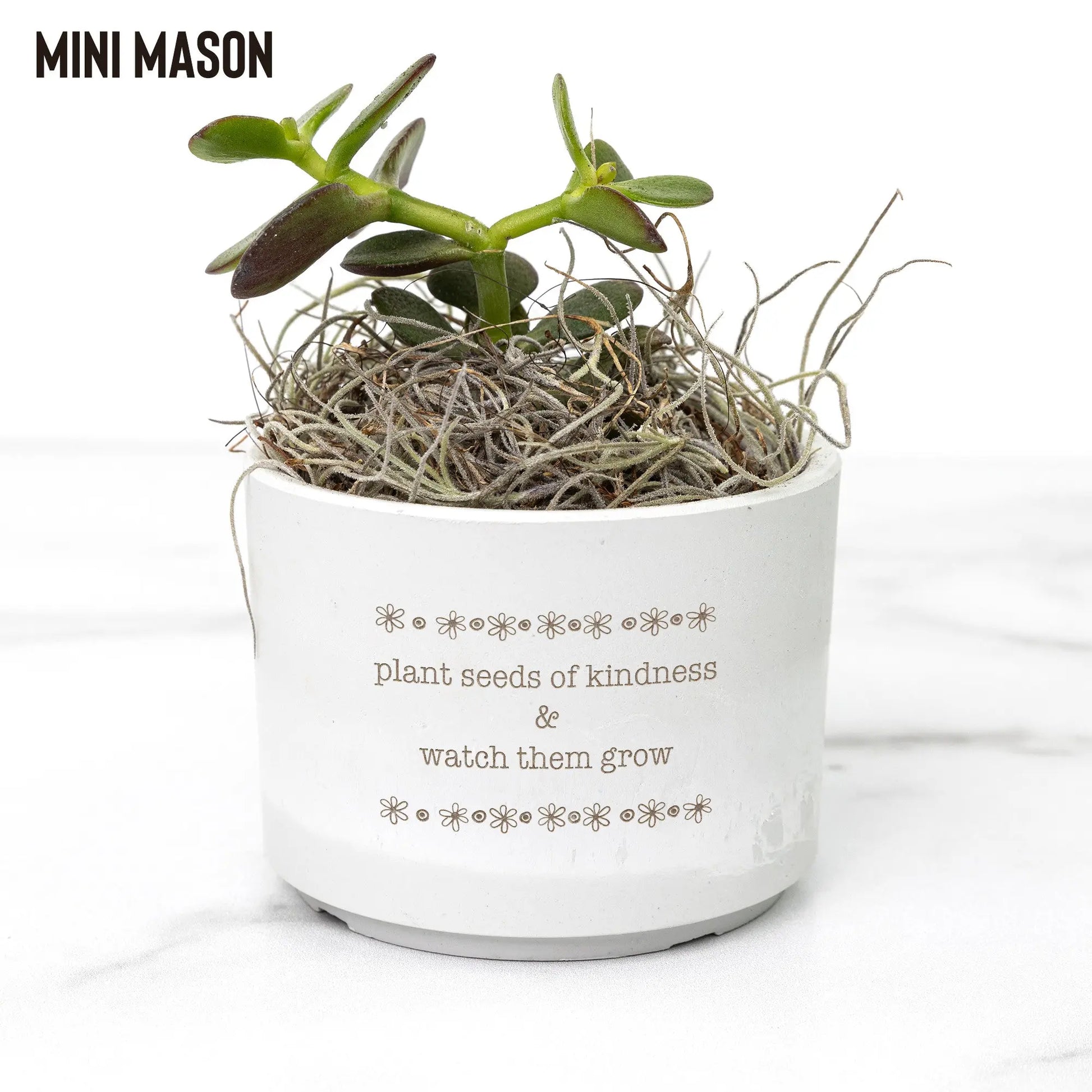 Plant Seeds of Kindness Mini Potted Plant - Choose from 3 teelaunch