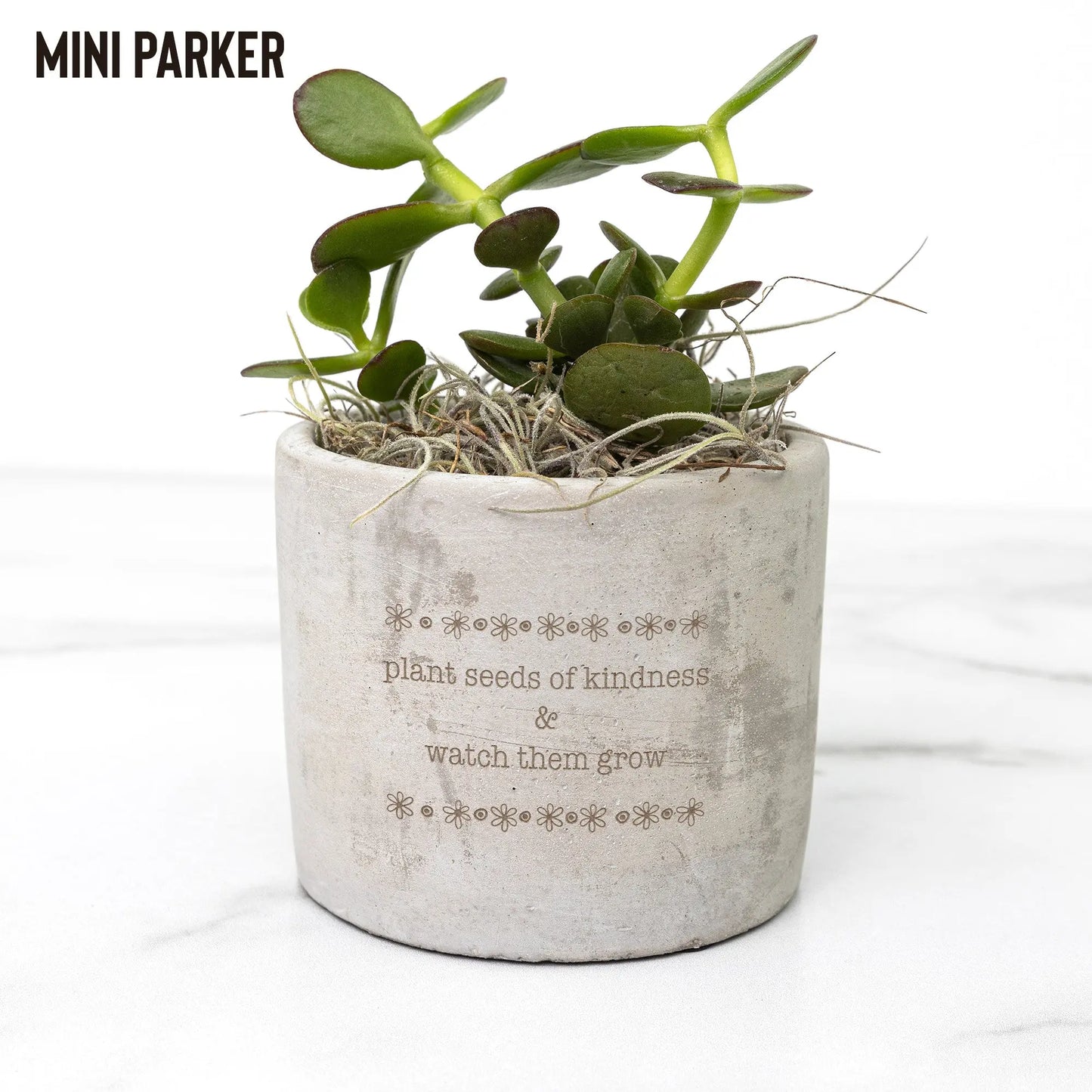 Plant Seeds of Kindness Mini Potted Plant - Choose from 3 teelaunch