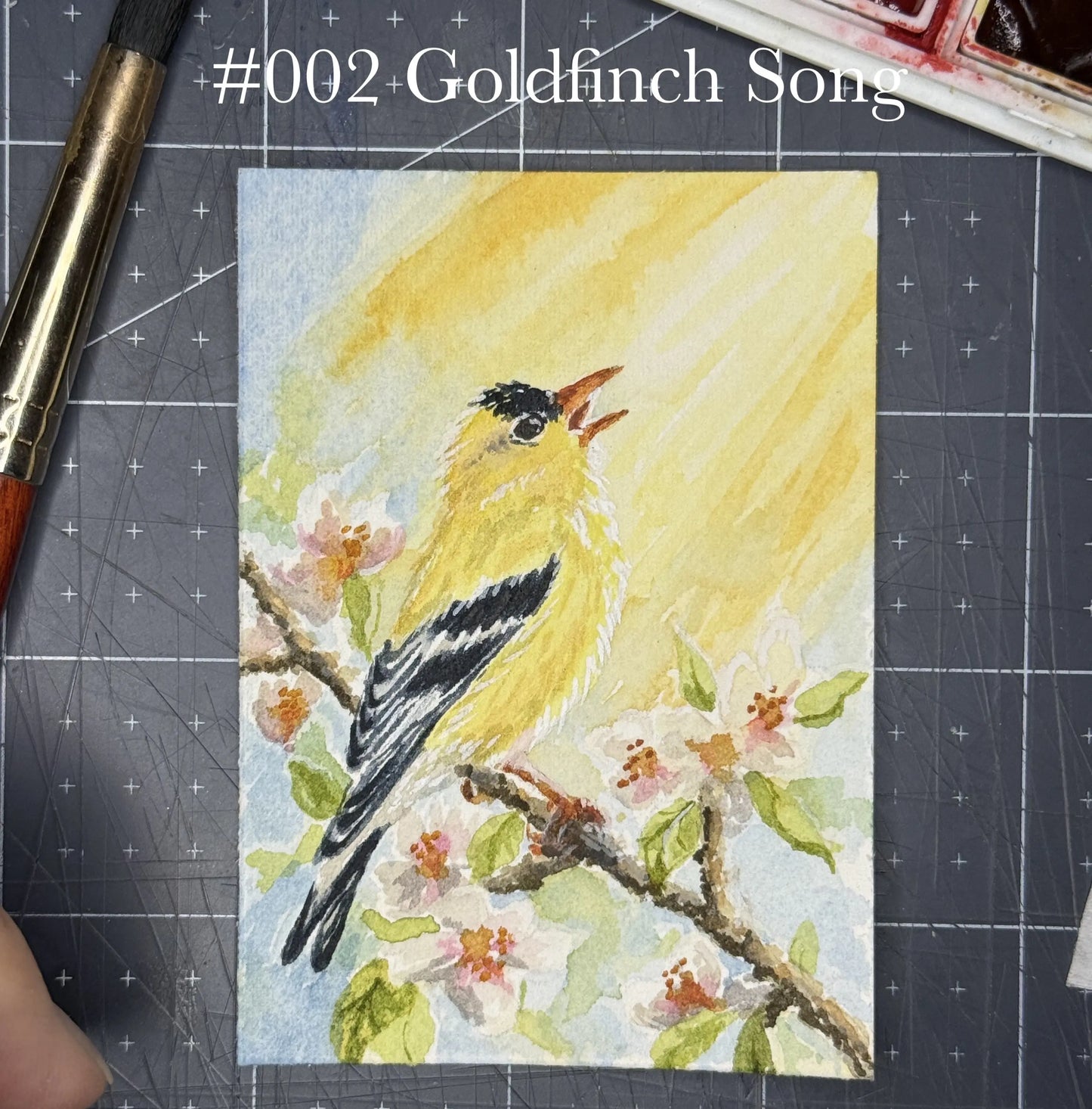 Tiny Painting Tuesday Original Watercolor ACEO Amazing Faith Designs