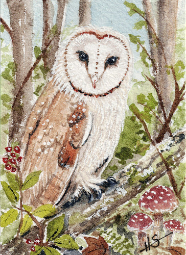Barn Owl Fine Art Print