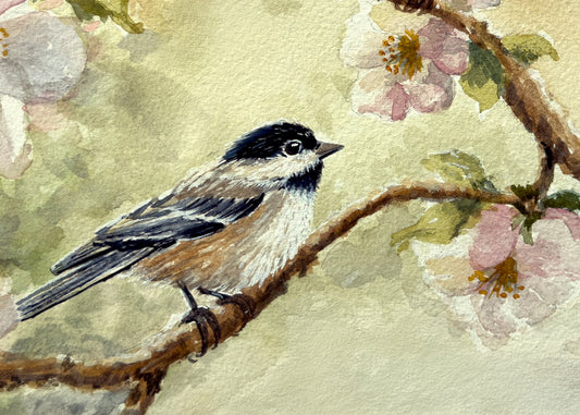 Apple Blossom Chickadee Fine Art Watercolor Print