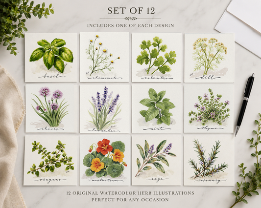 Herb Garden Botanical Note Cards