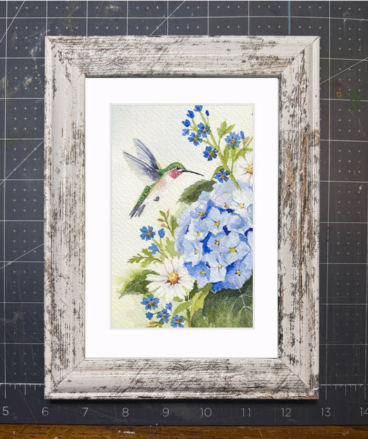 Hummingbird & Hydrangeas —Fine Art Prints
