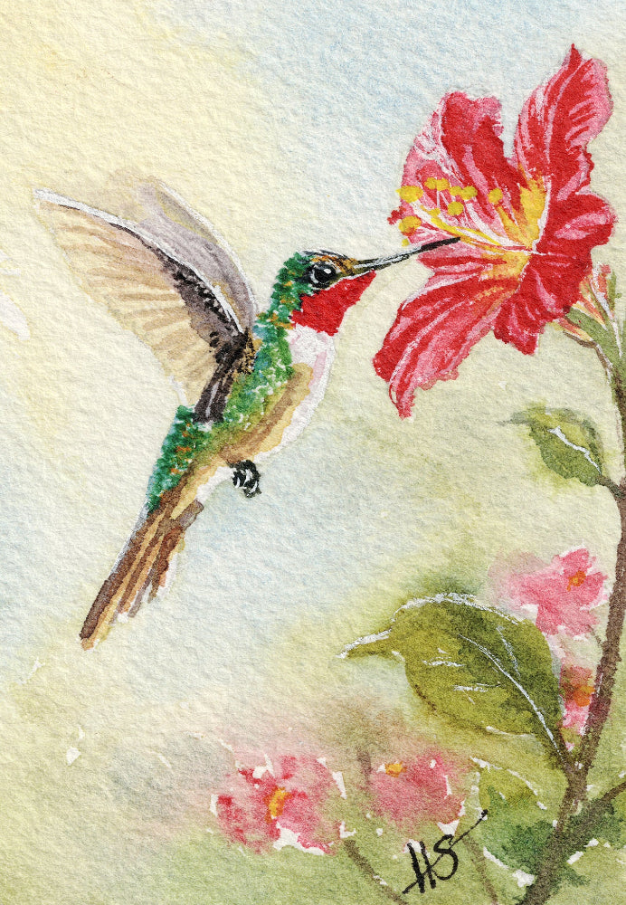 Hummingbird with Hibiscus Fine Art Print