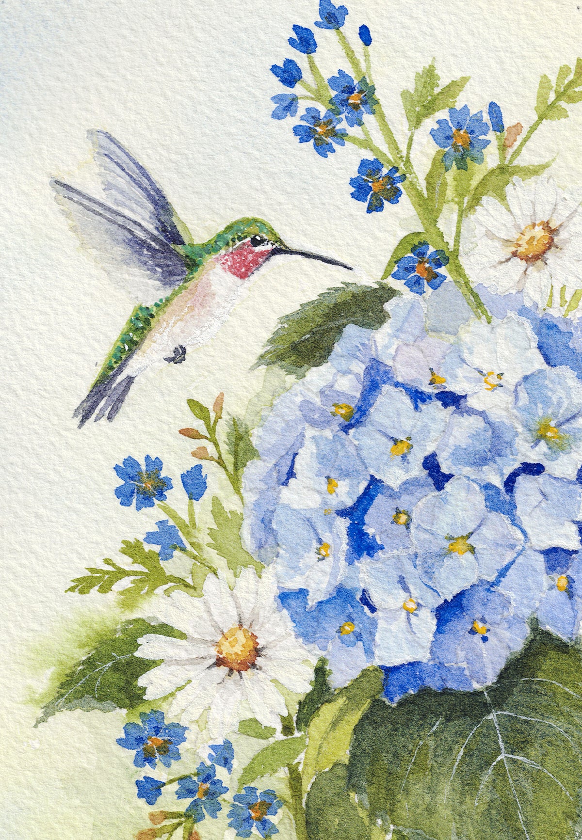 Hummingbird & Hydrangeas — Original Watercolor & Fine Art Prints