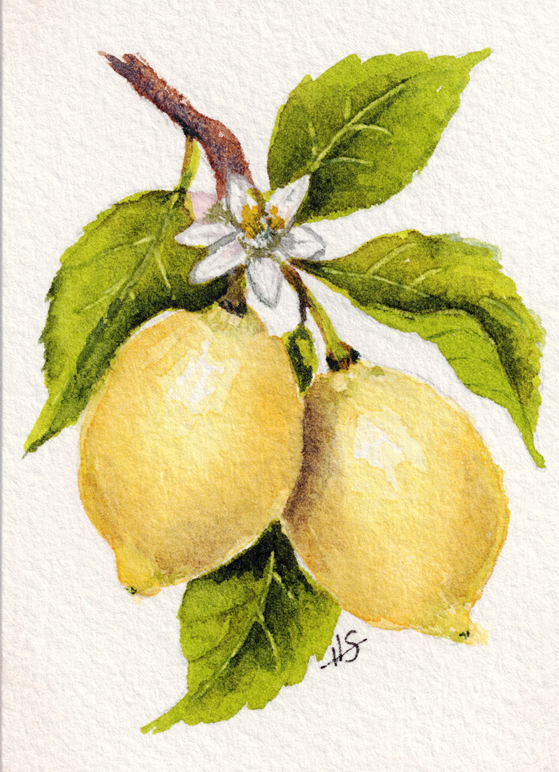 Lemon Branch | Fine Art Print & Greeting Card