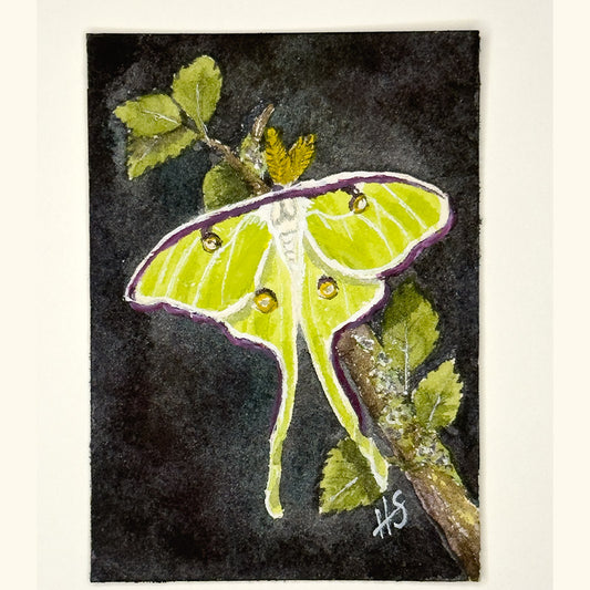 Tiny Painting Tuesday Original Watercolor ACEO