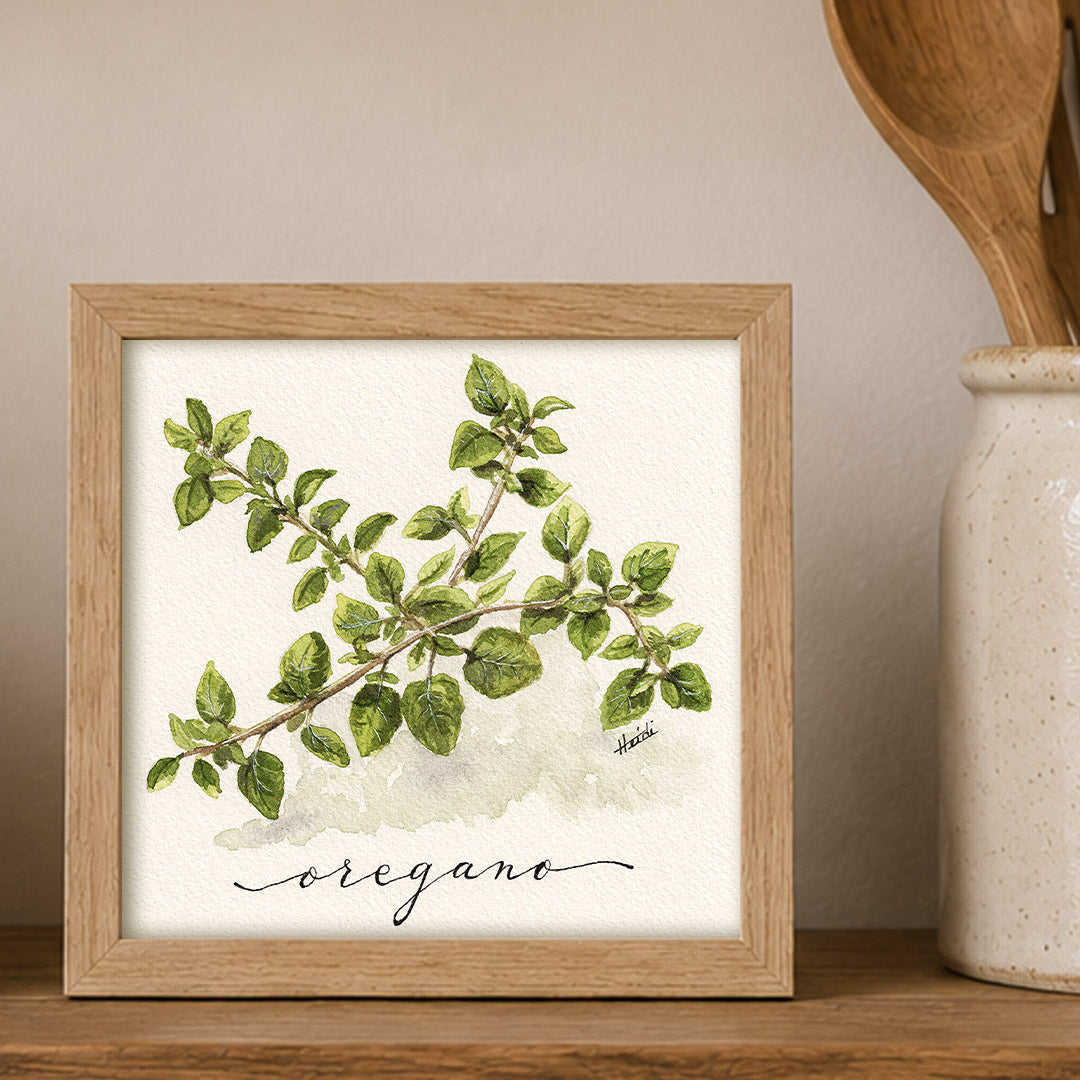 Oregano | Original Watercolor Herb Painting