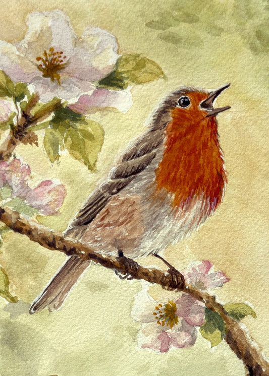 Robin's Song Original Watercolor Print