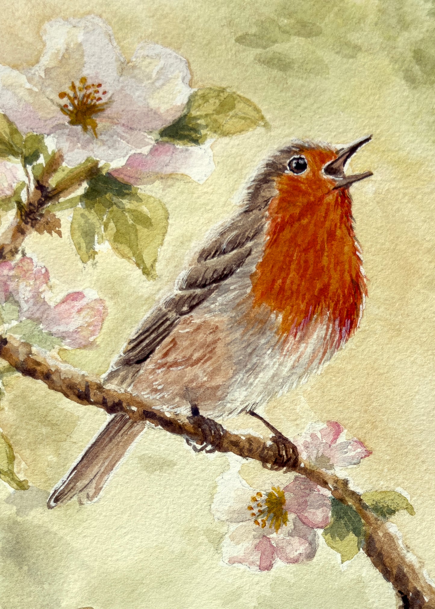 Robin's Song Original Watercolor Print