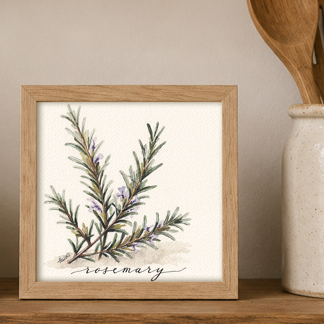 Rosemary | Original Watercolor Herb Painting