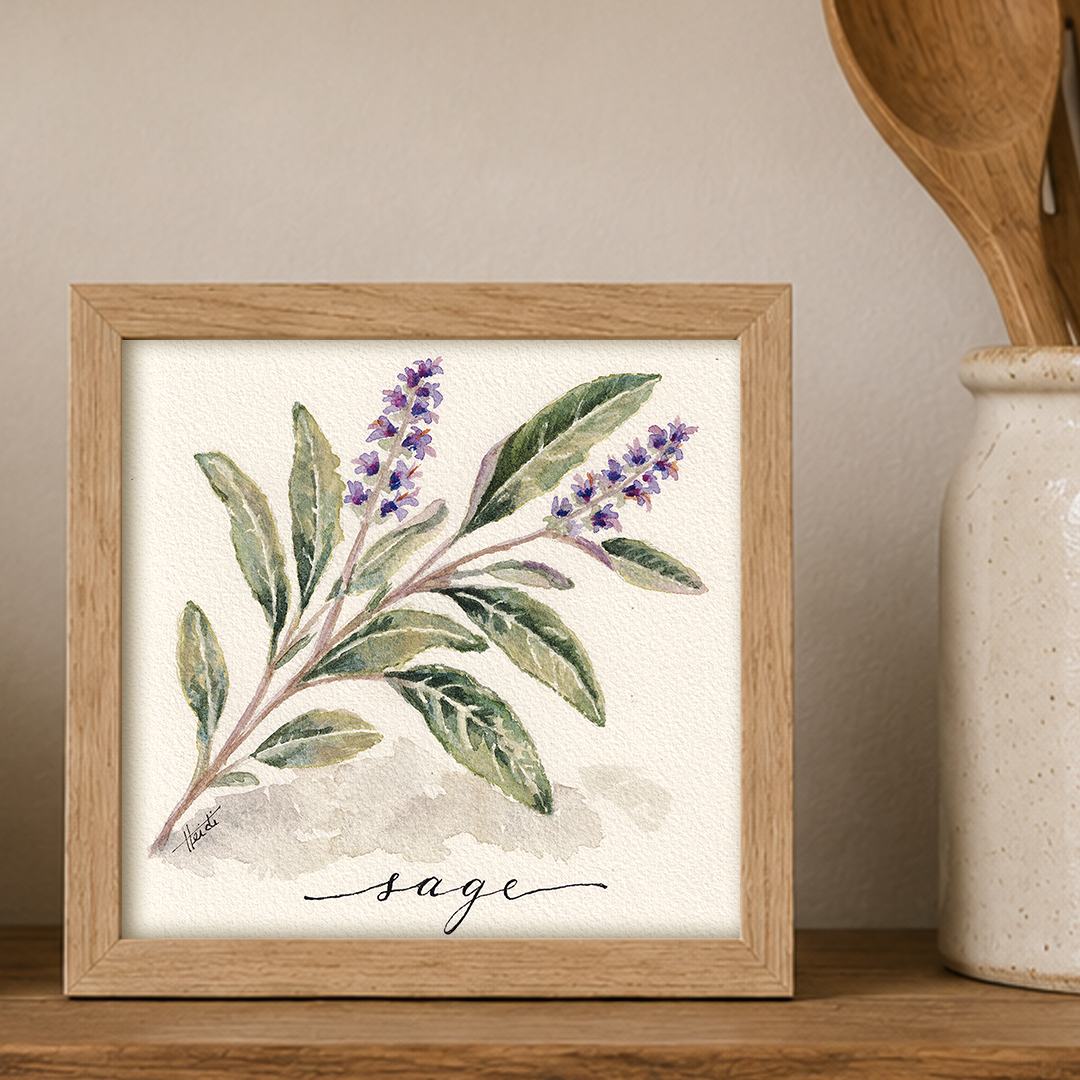Sage | Original Watercolor Herb Painting