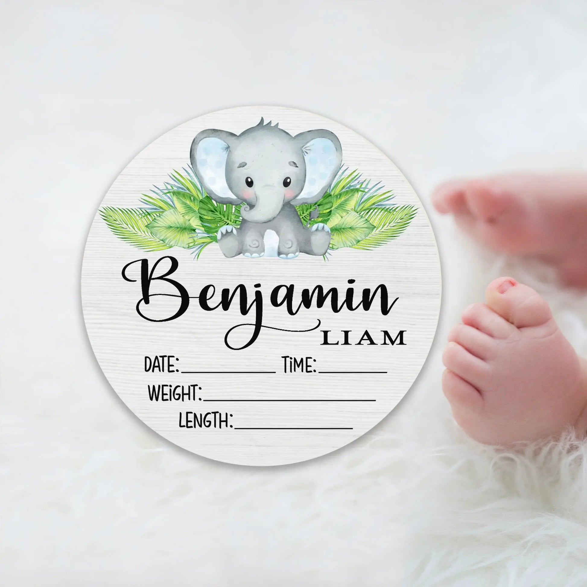 Elephant Boy Birth Stats Round Wood Baby Name Sign Amazing Faith Designs